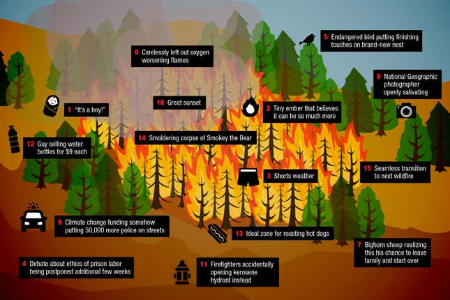 Image for article titled How Wildfires Work