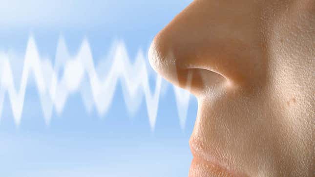 Closeup of human nose
