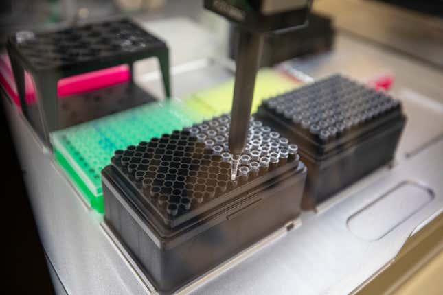 A machine sorts positive COVID-19 samples for genome testing