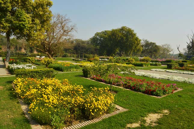 Nursery beds in 2013.