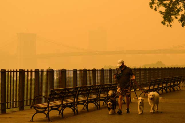 A person walks dogs as smoke from wildfires in Canada cause hazy conditions in New York City on June 7, 2023.