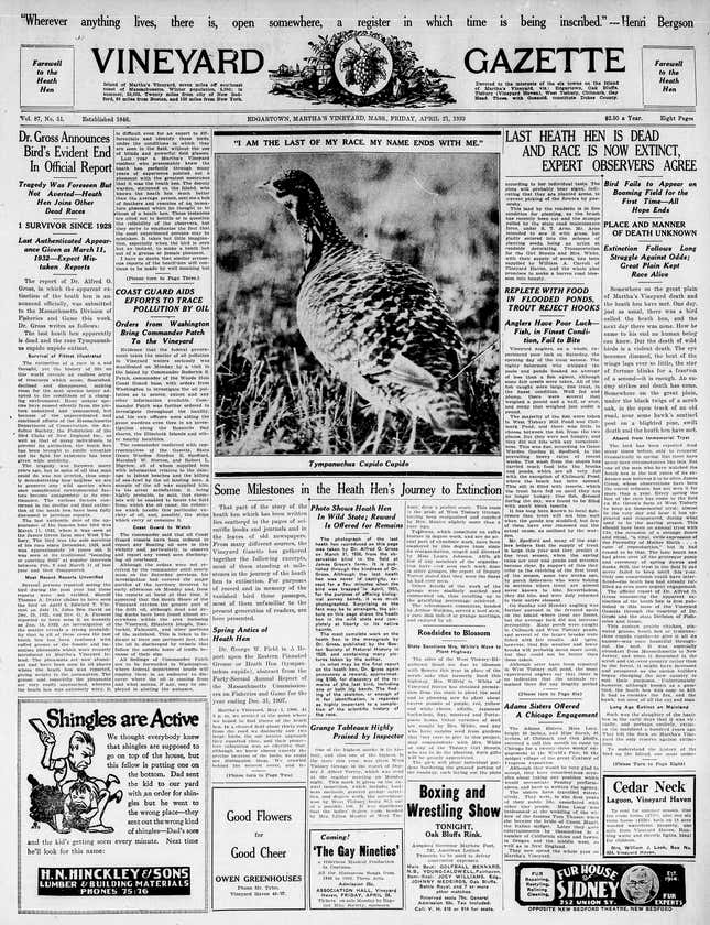 The front page of the April 21, 1933 edition of the Vineyard Gazette, announcing that the heath hen was extinct.