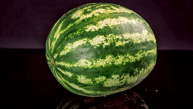 Image for article titled Best Strategies From Ron DeSantis’ Leaked Debate Memo