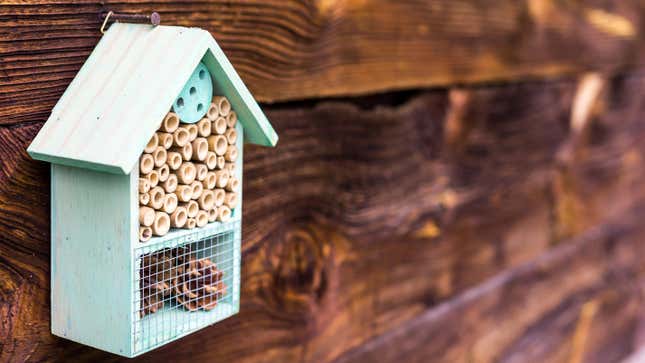 Image for article titled How to Make a Mason Bee House for Your Garden