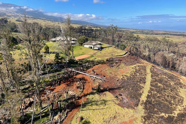 Burnt areas in the Olinda community of the Upcountry region on the Maui island, Hawaii, Friday, August. 11, 2023, following a wildfire. 