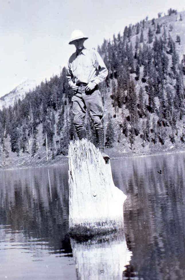 Imagen para el artículo titulado Este tronco de árbol lleva flotando verticalmente 120 años, y nadie sabe cómo demonios lo consigue
