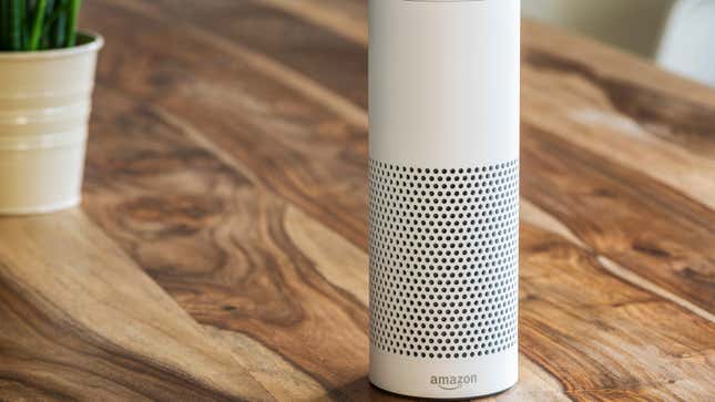 Image for article titled Things You Should Never Say To Your Amazon Alexa