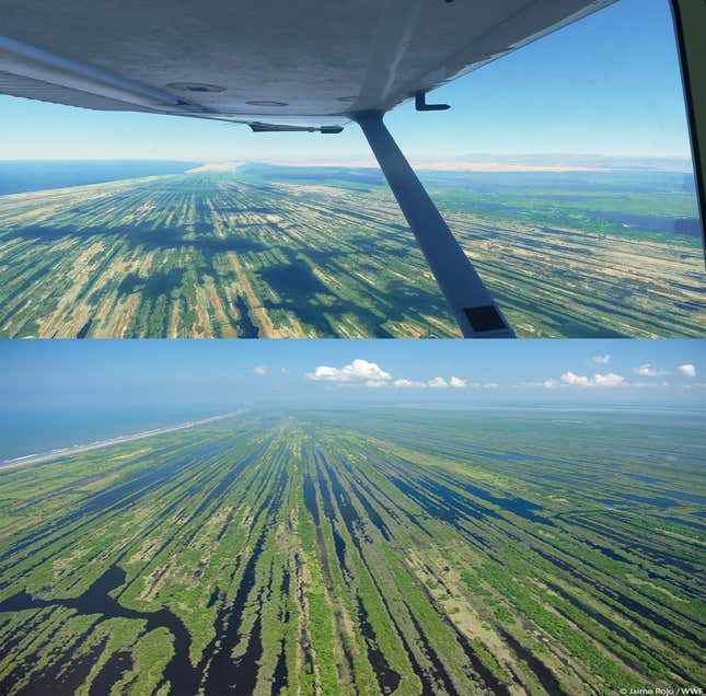 Imagen para el artículo titulado Microsoft Flight Simulator tiene mejores gráficos que la vida real