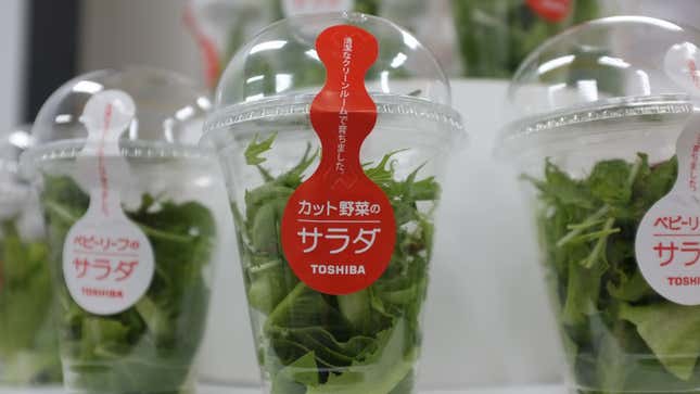 Toshiba salad