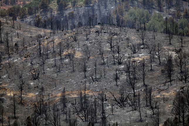 Image for article titled The aftermath of destructive wildfires, seen from above