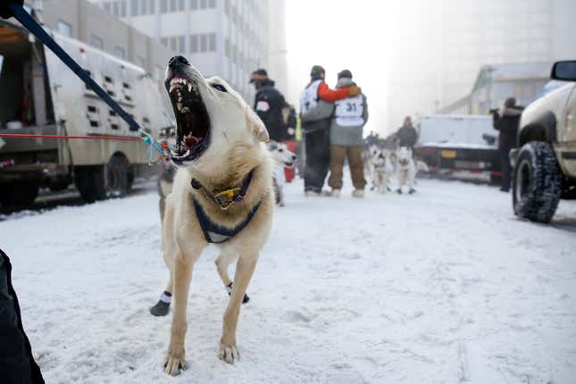 (Reuters/Nathaniel Wilder)