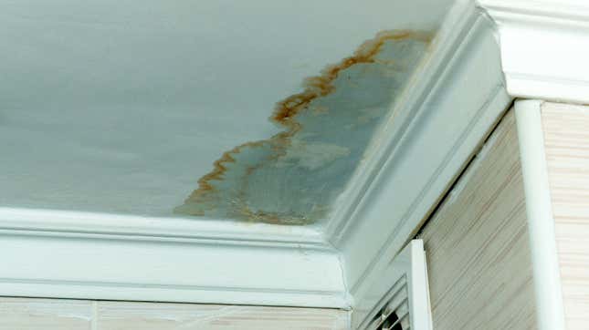 Image for article titled How to Repair Water Damage in Your Home (and When to Panic About It)