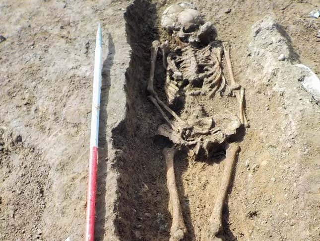 Imagen para el artículo titulado Arqueólogos vuelven a encontrar un antiguo esqueleto con la cabeza colocada a los pies