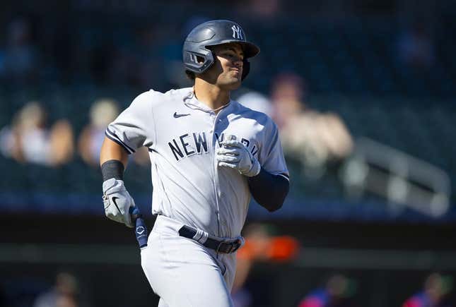 Oct 26, 2022; Surprise, Arizona, USA; New York Yankees designated hitter Jasson Dominguez plays for the Mesa Solar Sox during an Arizona Fall League baseball game at Surprise Stadium.