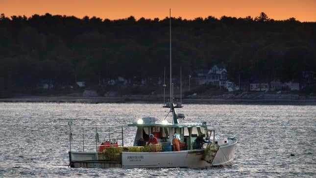 The crew on a lobster boat hauls traps off the coast of Portland, Maine.
