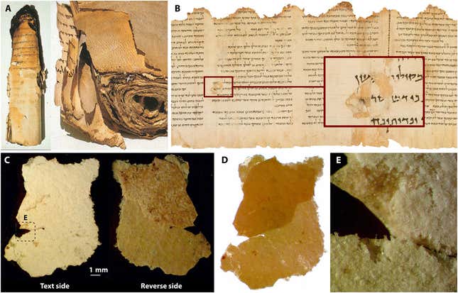 Detalle de la capa de sales que recubre el manuscrito, vista al microscopio.