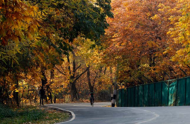 A boy rides a bicycle on a road leading to the Pari Mahal garden.