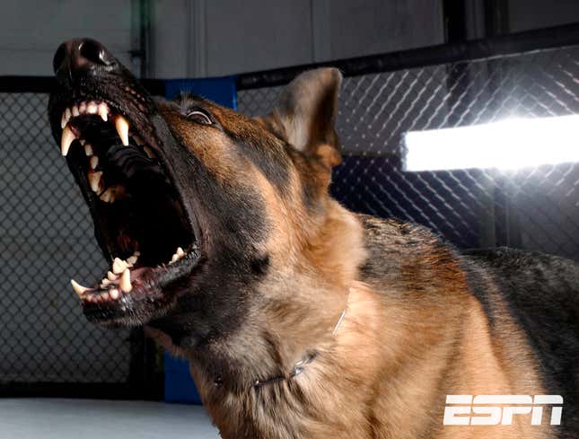Image for article titled ESPN Execs: ‘Fuck It, Air The Dogfighting’