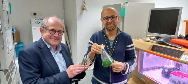 Los científicos Chris Howe (izquierda) y Paolo Bombelli (derecha) sostienen su unidad de energía basada en algas y un frasco con una solución de cianobacterias