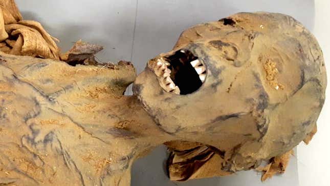 The “screaming” mummy, a woman who died some 3,000 years ago.