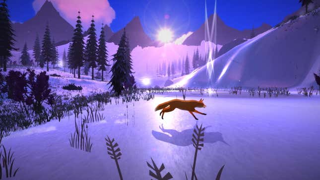 A fox running across purple ice.