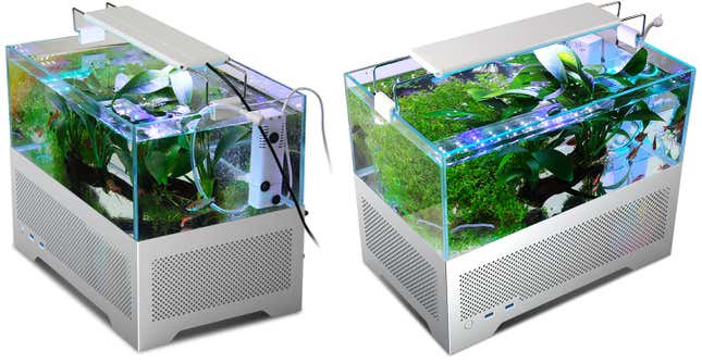 Imagen para el artículo titulado ¿Horterada o genialidad? Esta caja de PC es también un acuario para peces