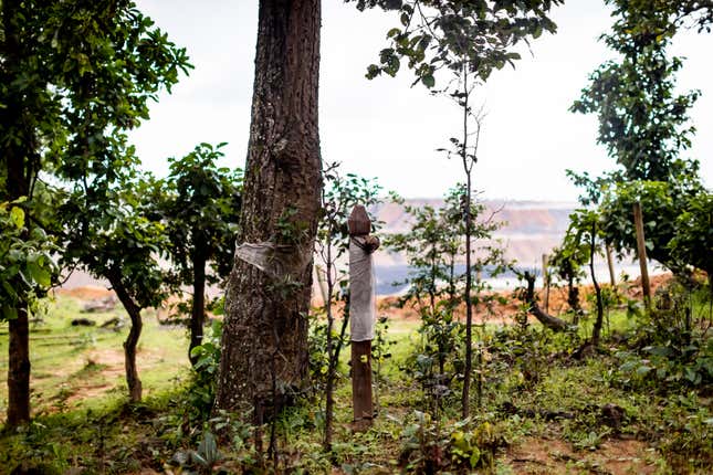 The spot near the mine where Sai planted the mud from the sacred grove.