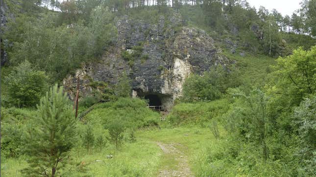 The entrance to Denisova Cave in Sibera. 