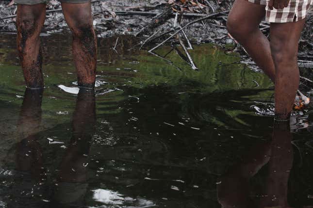 The nasty effects of oil spills in the Niger Delta area.