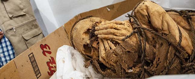 Imagen para el artículo titulado Descubren una momia de 1.200 años de un joven atado con una cuerda