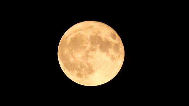 The supermoon on August 1, 2023, as seen in Chicago.Photo: Scott Olson (Getty Images)