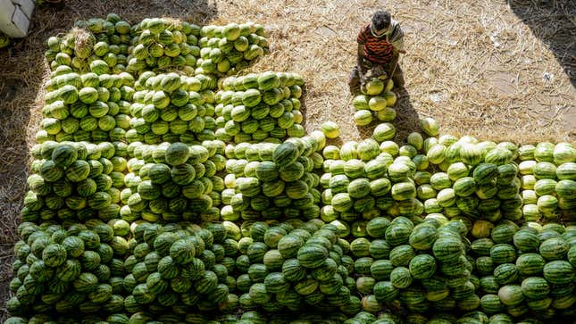 Watermelons at a Hyderabad fruit market in 2020.