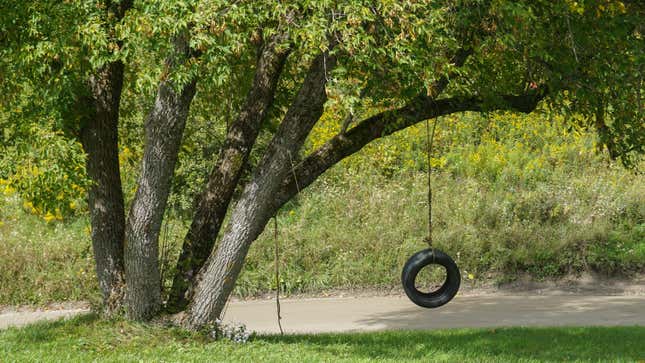 Large shady tree with a tire swing