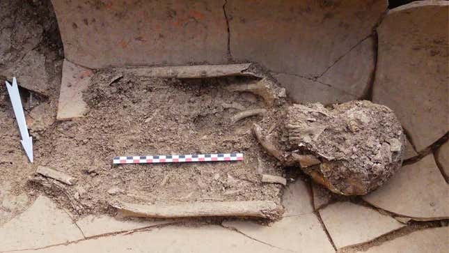 Imagen para el artículo titulado Descubren una antigua necrópolis de 40 tumbas en Córcega con humanos enterrados en macetas