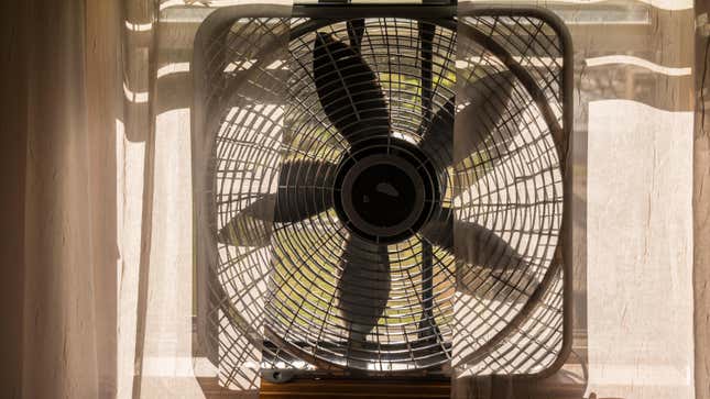 Image for article titled How to Tell Whether Your Window Fan Should Be Facing In or Out