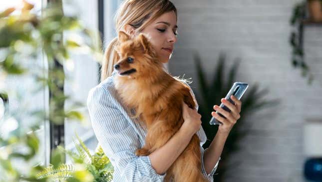 Person holding dog and making phone call