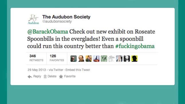 Image for article titled 19 Tweets From The Audubon Society/Barack Obama Twitter Feud