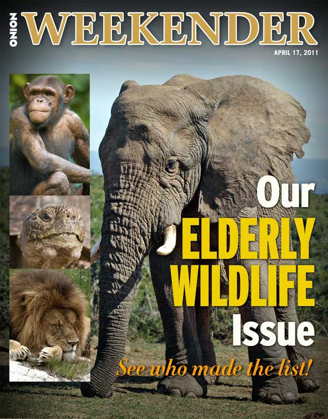 Image for article titled Our Elderly Wildlife Issue