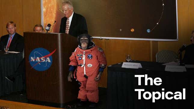 Image for article titled NASA Announces Plans To Launch Chimpanzee Into Sun