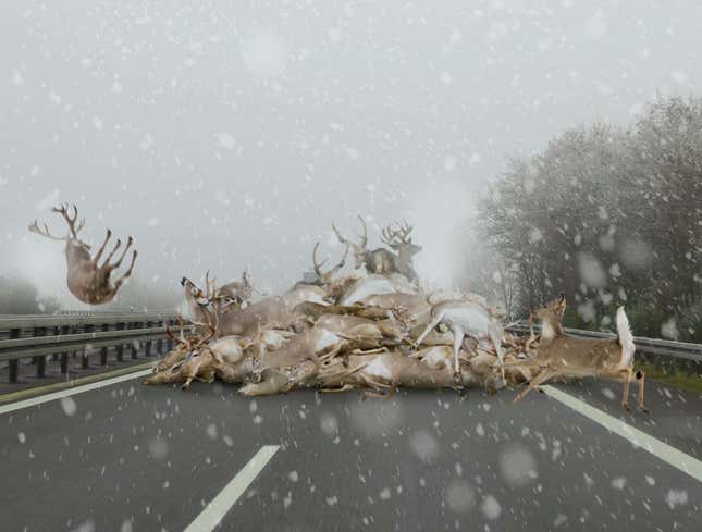 Image for article titled Icy Road Conditions Lead To Multi-Deer Pileup On Highway