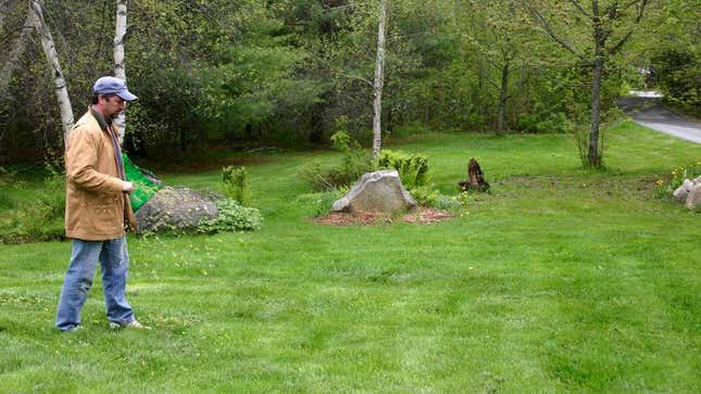 Image for article titled Dad Busy Throwing Seeds Or Something On Lawn