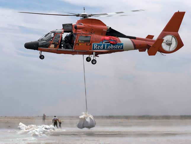 Image for article titled Millions Of Shrimp Airlifted From Oil Spill Disaster Zone