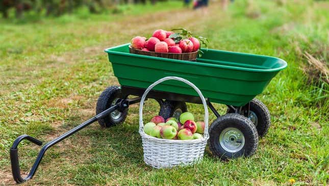 cart of apples in orchard
