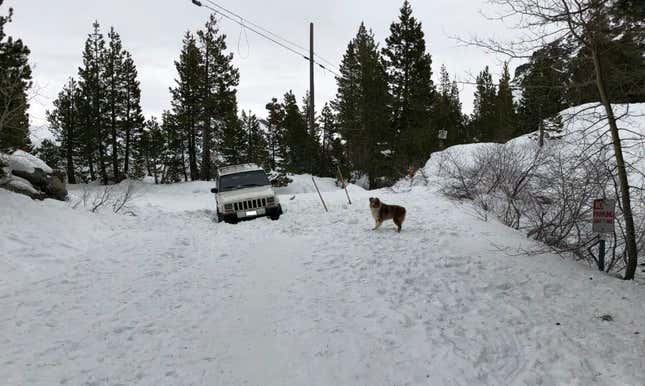 Image for article titled A Tesla Engineer's Jeep Ended Up Under 10 Feet of Snow for Months and It's Still There
