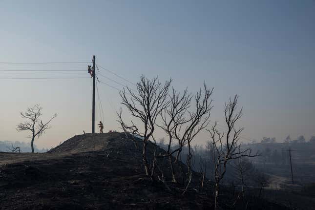 A worker climbing on an electricity pole repairs cables after a wildfire near Gennadi village, on the Aegean Sea island of Rhodes, southeastern Greece, on July 26, 2023.