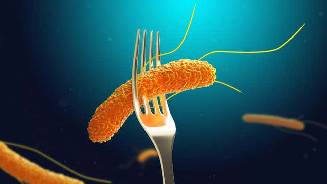 An illustration of a fork piercing through Salmonella bacteria
