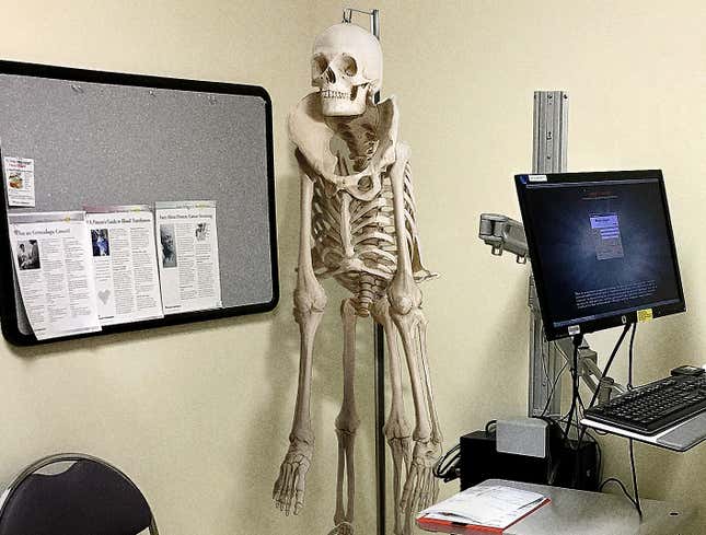 Image for article titled Skeleton In Sketchy Doctor’s Office Assembled Completely Wrong
