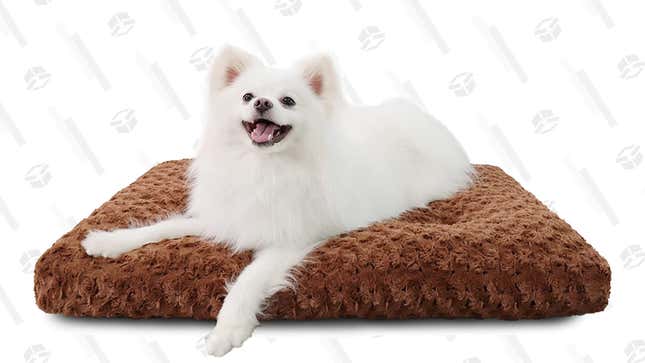 Washable Dog Bed | $18 | Amazon