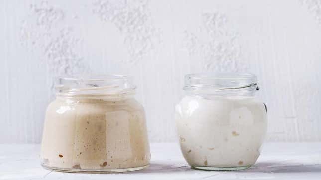 Rye and wheat sourdough starters in jars