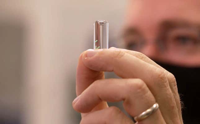 Imagen para el artículo titulado DARPA desarrolla un chip subcutáneo que detecta si tienes covid-19 en minutos